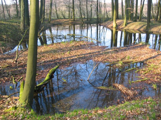 Cappenberger Wald Ostara